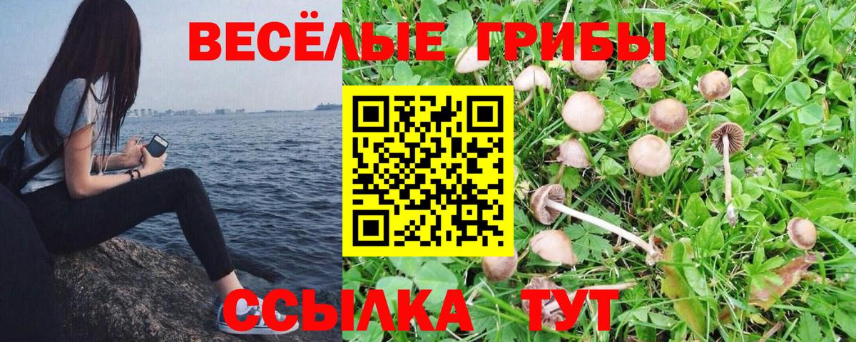 Алексеевка  Галлюциногенные грибы ЛСД  Вход с VPN 